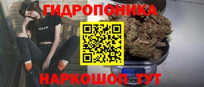 spice Будённовск