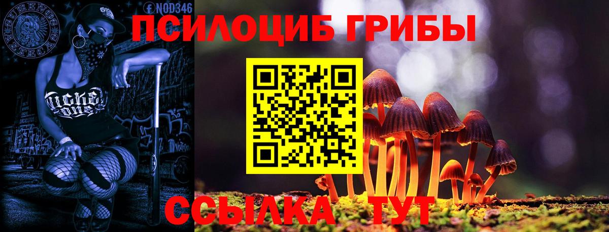 Галлюциногенные грибы Psilocybine cubensis  Вход с VPN  дарнет шоп  Псилоцибиновые грибы Magic Shrooms  Ржев 